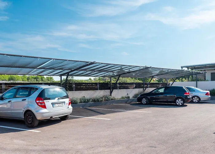 Nika فيلة سريما